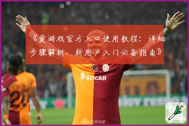 《爱游戏官方入口使用教程：详细步骤解析，新用户入门必备指南》