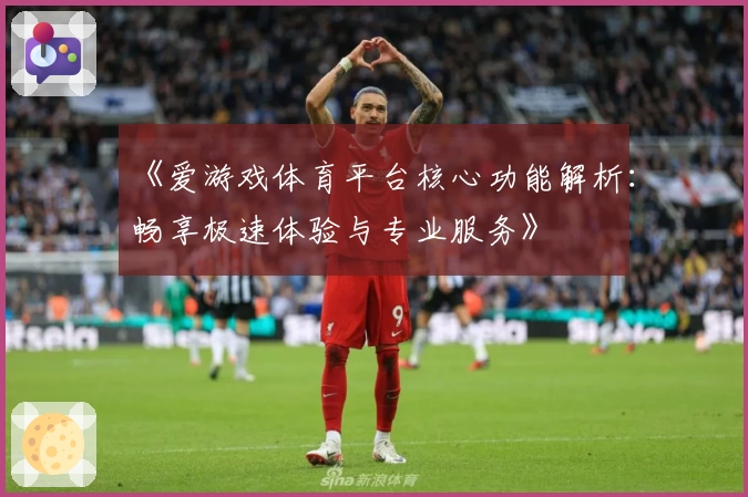 《爱游戏体育平台核心功能解析：畅享极速体验与专业服务》